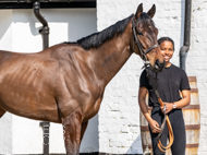 NH220326-10 - Thewoodcorner